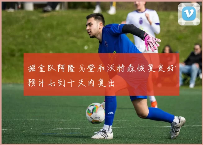 掘金队阿隆戈登和沃特森恢复良好预计七到十天内复出